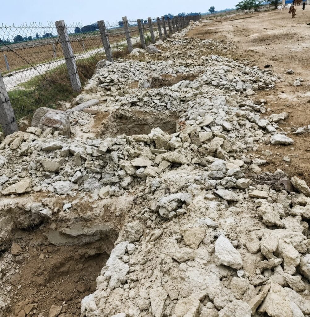 कमालपुर गौशाला