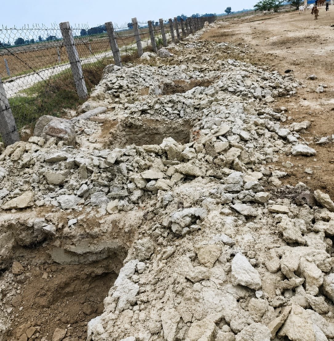 कमालपुर गौशाला